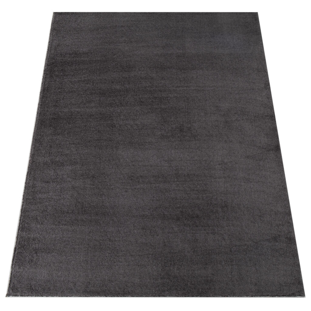 9002-ANTHRACITE-CUDDLE-TAPISO-2-jpg1706266503.jpg